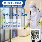 四川創(chuàng)衛(wèi)城市環(huán)境治理有限公司